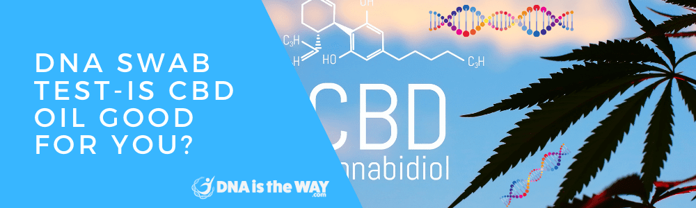 DNA Swab Test-Is CBD Oil Good For You? feature image